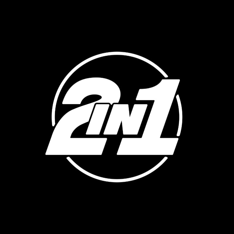 2in1